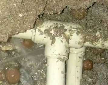 沈北新测漏水多少钱