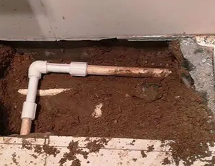 沈北新测漏水哪家好