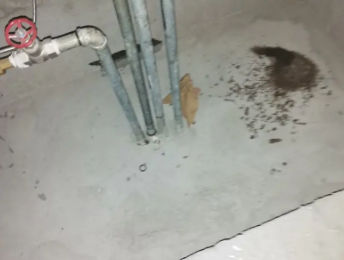 沈北新卫生间测漏水价格明细