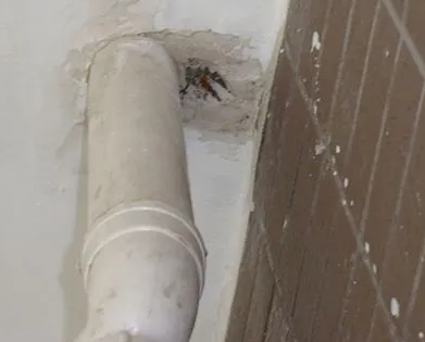 沈北新漏水检测哪家好